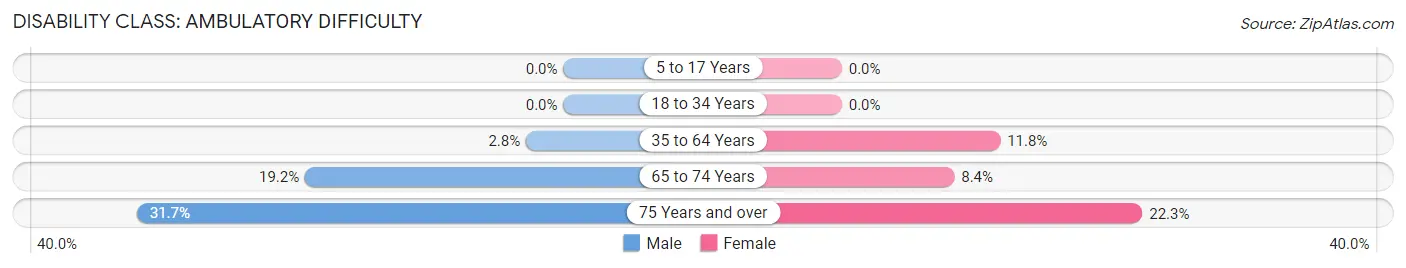 Disability in Zip Code 22482: <span>Ambulatory Difficulty</span>