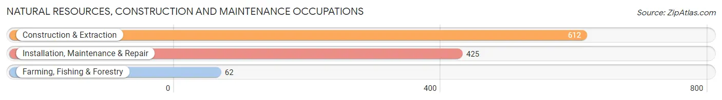 Natural Resources, Construction and Maintenance Occupations in Zip Code 22508