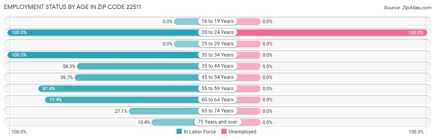 Employment Status by Age in Zip Code 22511