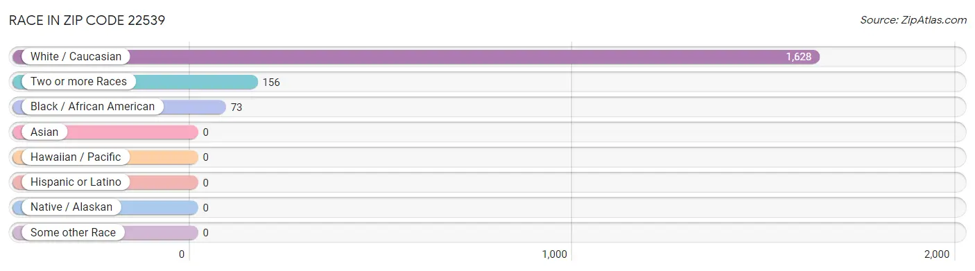 Race in Zip Code 22539