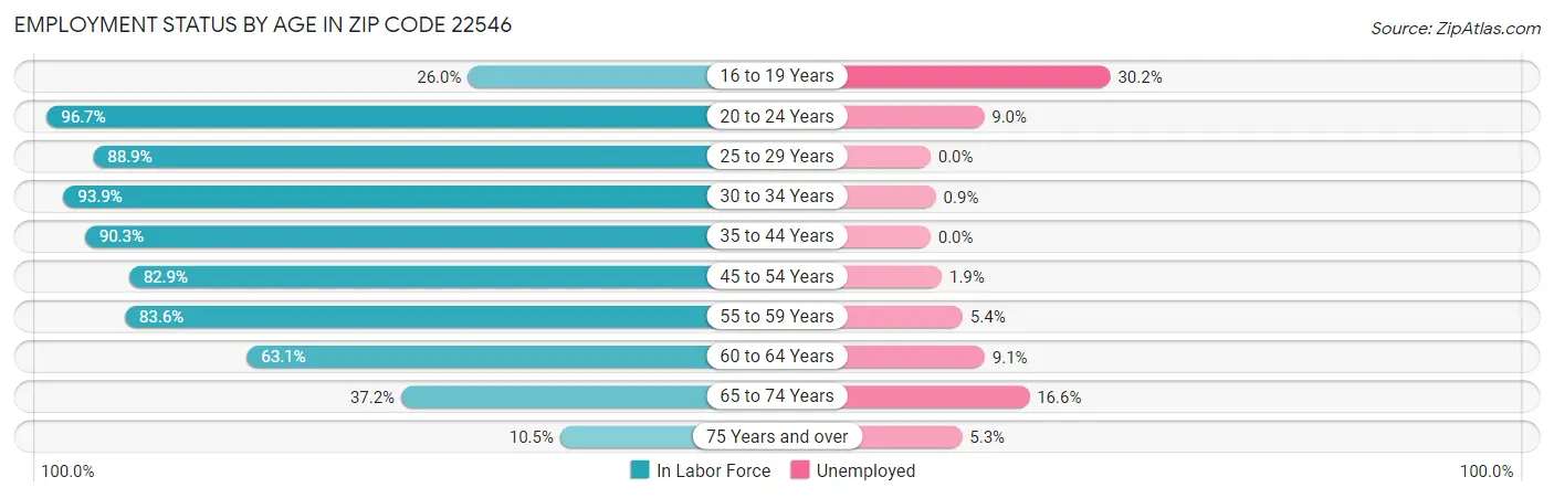 Employment Status by Age in Zip Code 22546