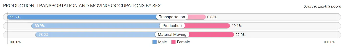 Production, Transportation and Moving Occupations by Sex in Zip Code 22546