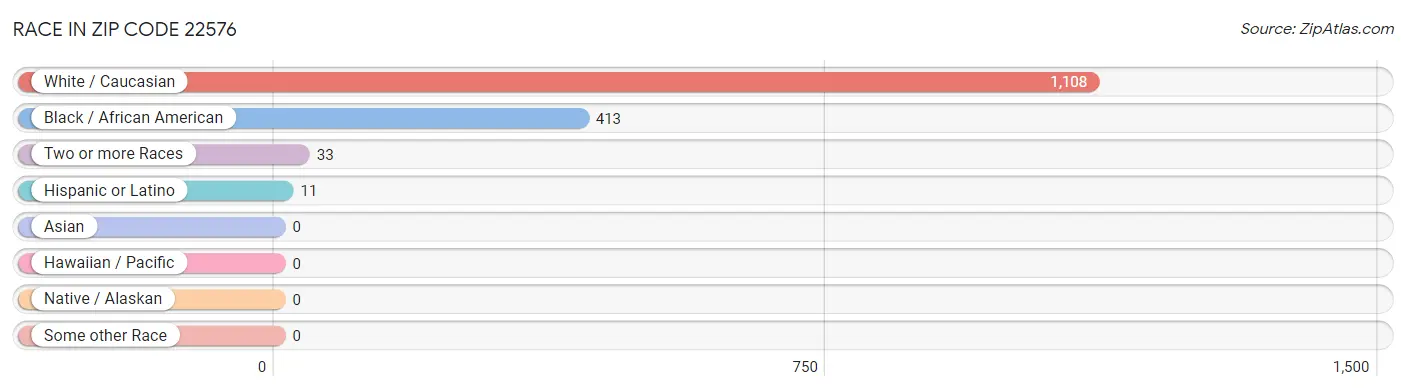 Race in Zip Code 22576