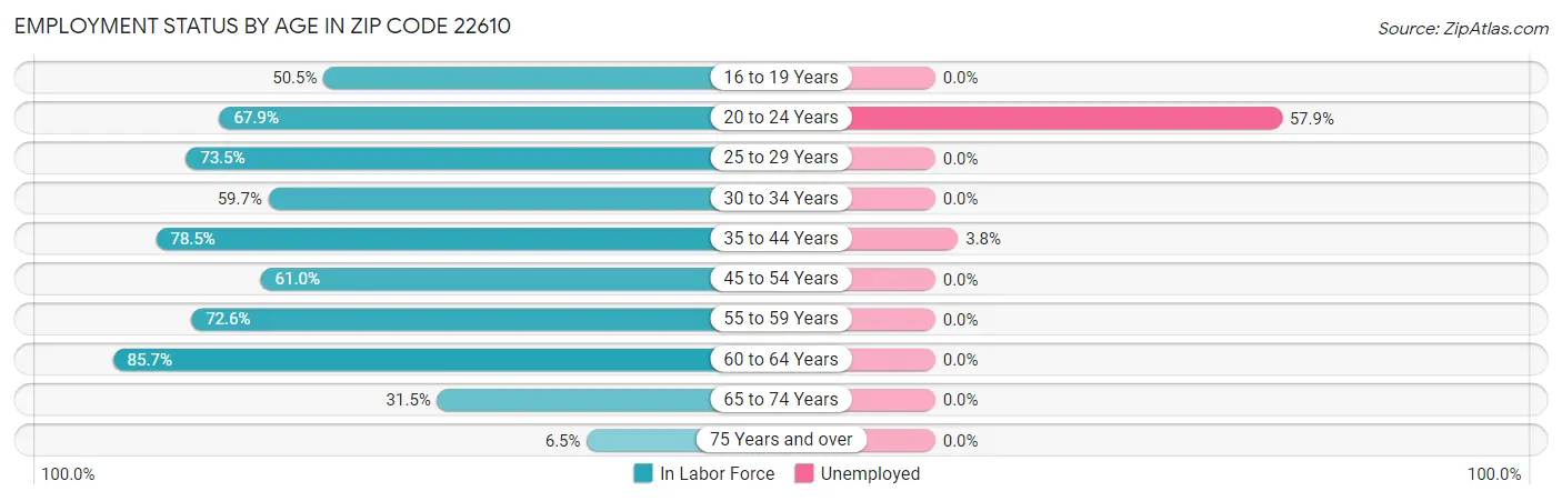 Employment Status by Age in Zip Code 22610