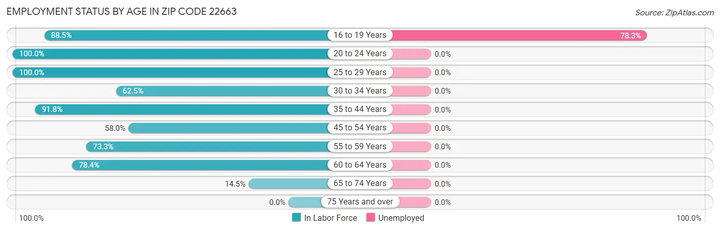 Employment Status by Age in Zip Code 22663