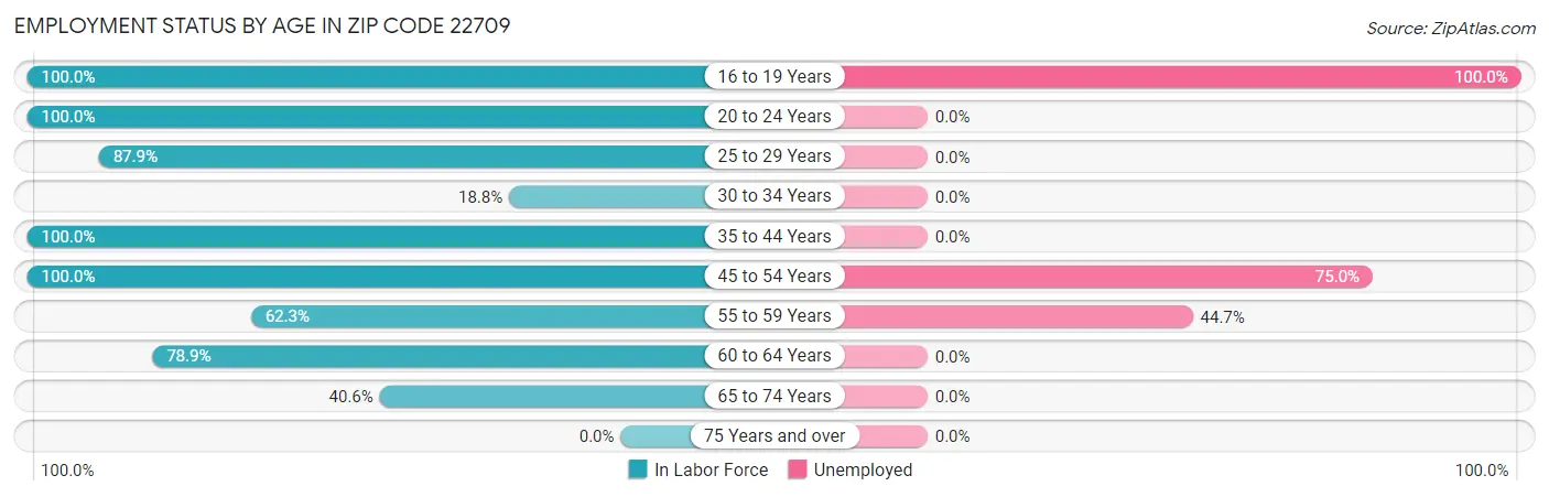 Employment Status by Age in Zip Code 22709