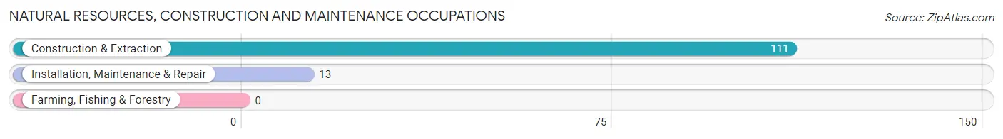 Natural Resources, Construction and Maintenance Occupations in Zip Code 22726