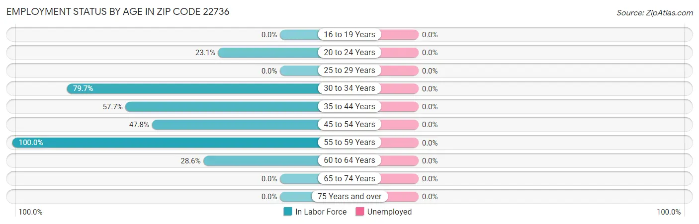 Employment Status by Age in Zip Code 22736