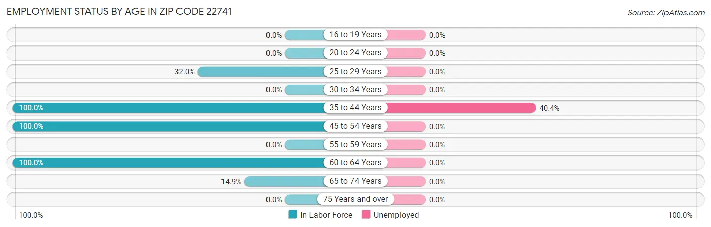 Employment Status by Age in Zip Code 22741