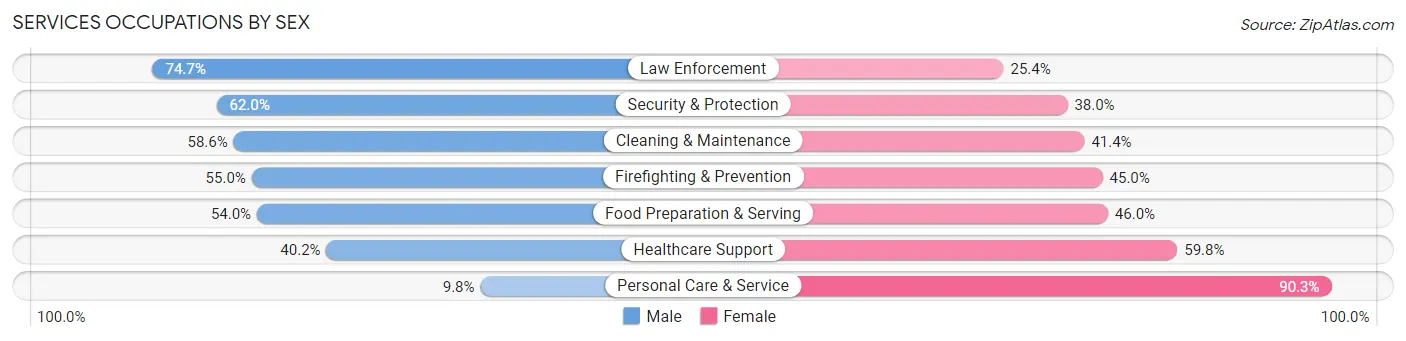 Services Occupations by Sex in Zip Code 22802