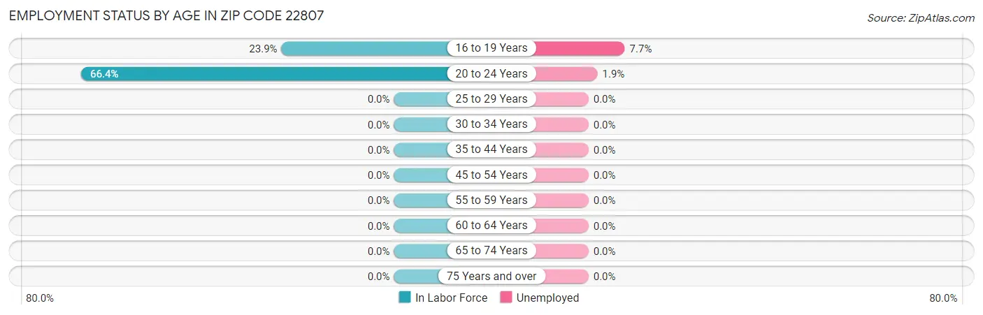 Employment Status by Age in Zip Code 22807