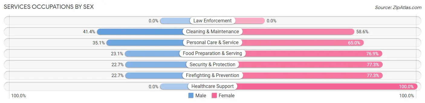 Services Occupations by Sex in Zip Code 22807