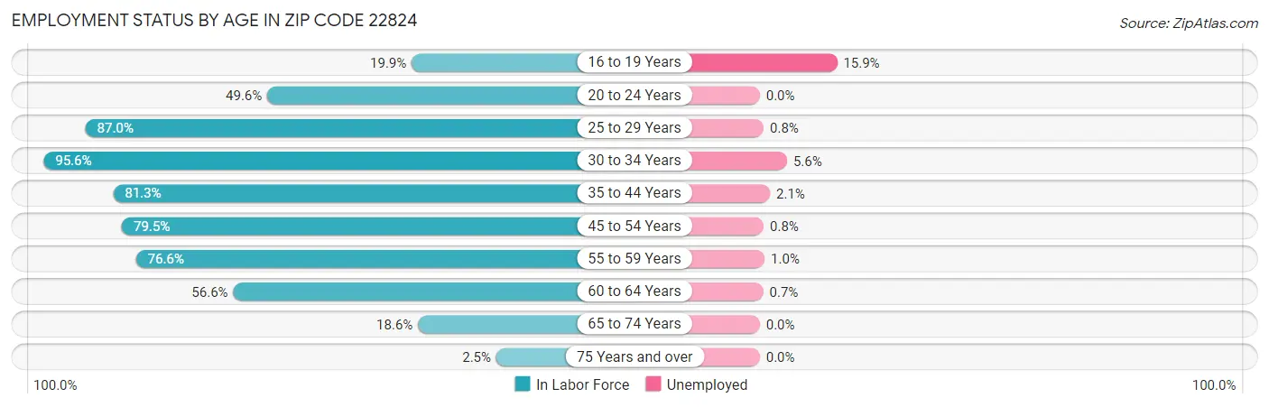Employment Status by Age in Zip Code 22824