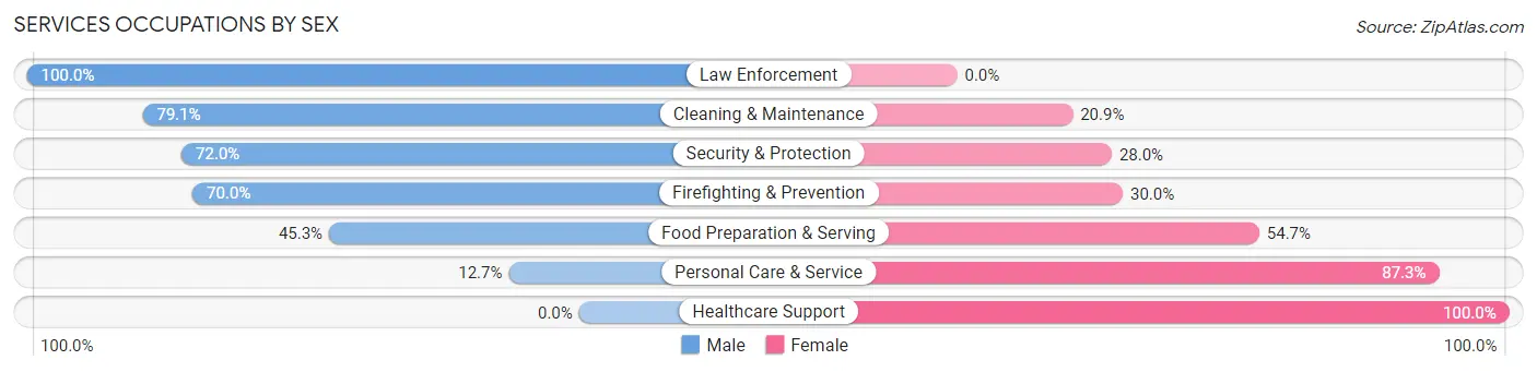 Services Occupations by Sex in Zip Code 22840