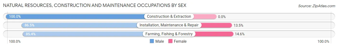 Natural Resources, Construction and Maintenance Occupations by Sex in Zip Code 22842