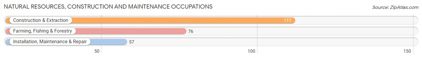 Natural Resources, Construction and Maintenance Occupations in Zip Code 22843