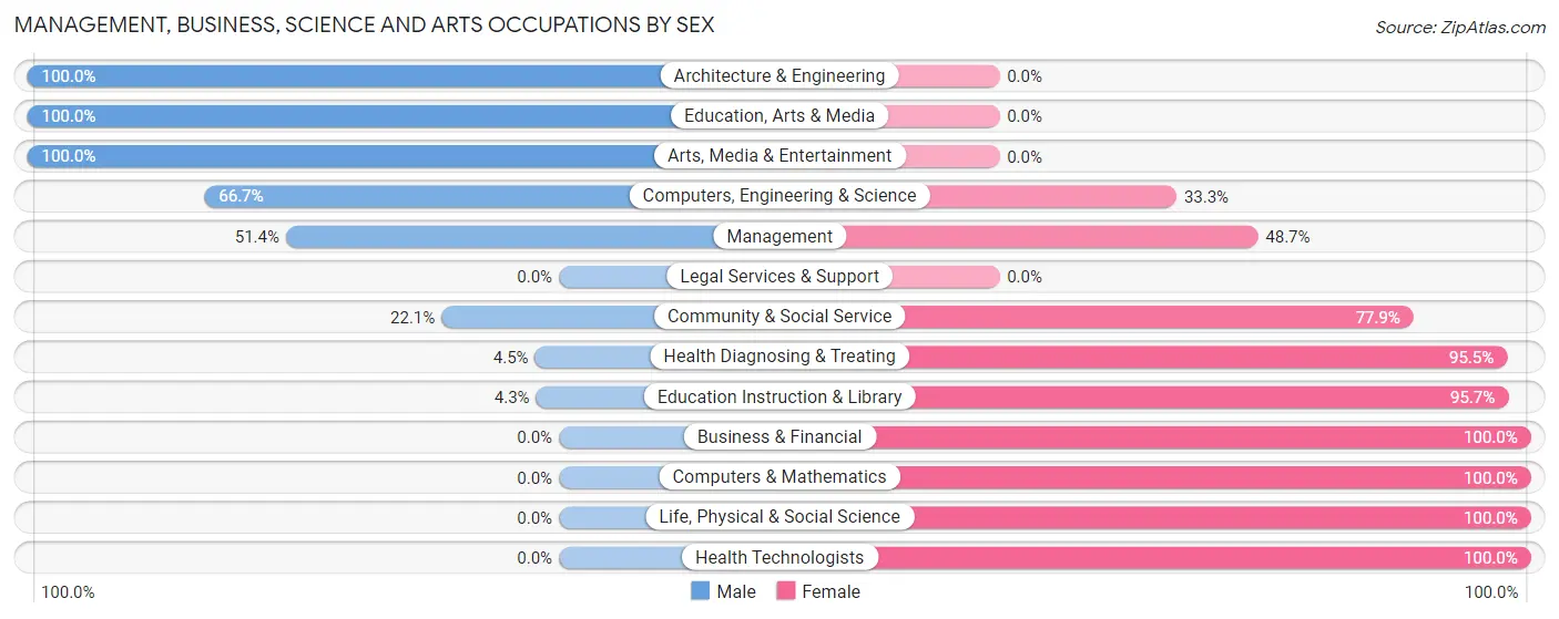 Management, Business, Science and Arts Occupations by Sex in Zip Code 22853