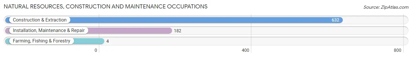 Natural Resources, Construction and Maintenance Occupations in Zip Code 22902