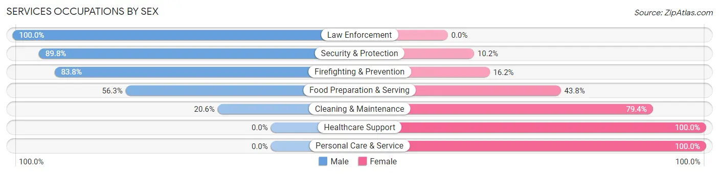 Services Occupations by Sex in Zip Code 22923