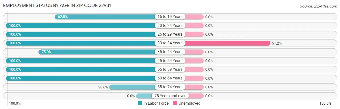 Employment Status by Age in Zip Code 22931