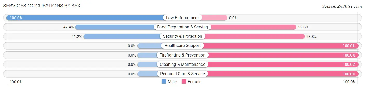 Services Occupations by Sex in Zip Code 22936