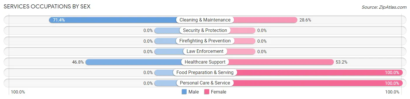 Services Occupations by Sex in Zip Code 22937