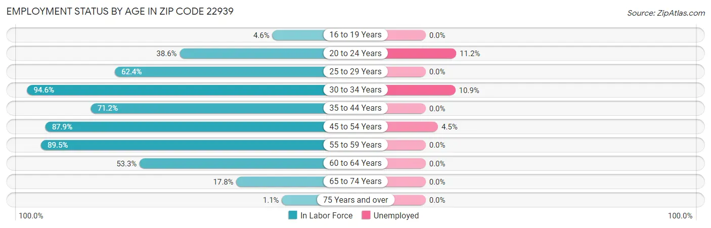 Employment Status by Age in Zip Code 22939