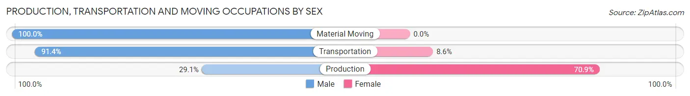 Production, Transportation and Moving Occupations by Sex in Zip Code 22939