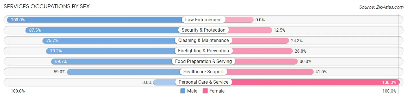 Services Occupations by Sex in Zip Code 22939