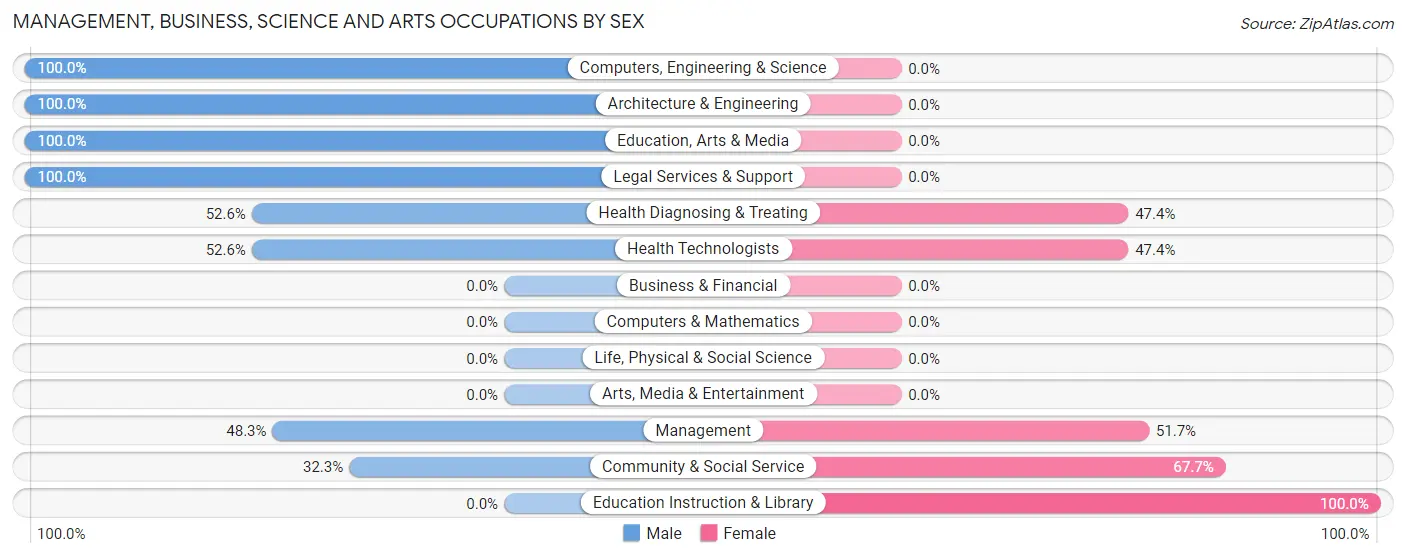 Management, Business, Science and Arts Occupations by Sex in Zip Code 22943