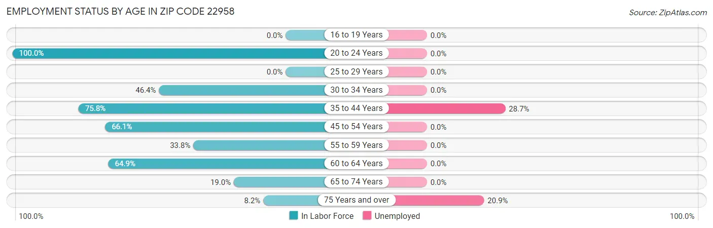 Employment Status by Age in Zip Code 22958