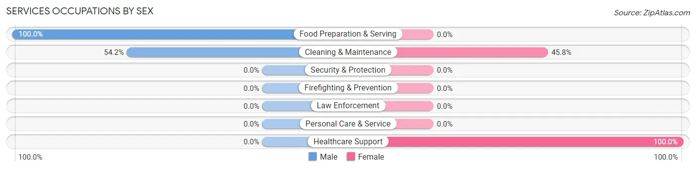 Services Occupations by Sex in Zip Code 22958