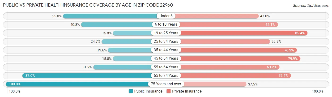 Public vs Private Health Insurance Coverage by Age in Zip Code 22960