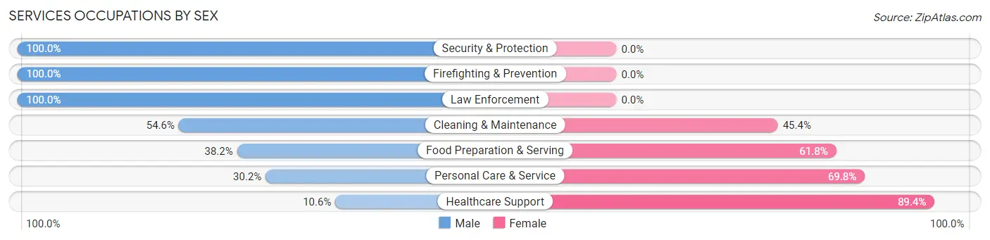 Services Occupations by Sex in Zip Code 22960