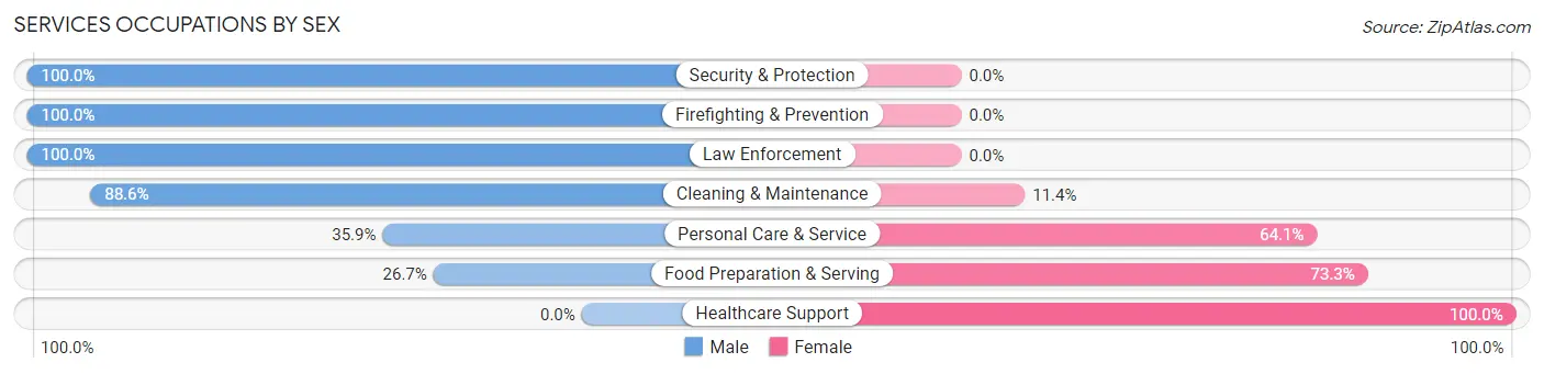 Services Occupations by Sex in Zip Code 22973