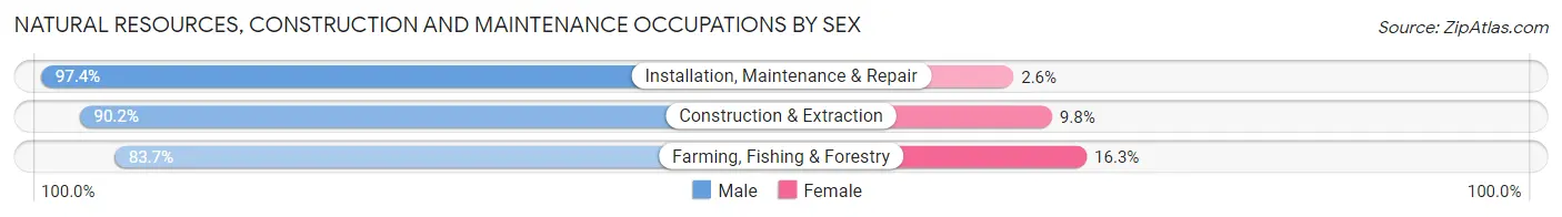 Natural Resources, Construction and Maintenance Occupations by Sex in Zip Code 22980