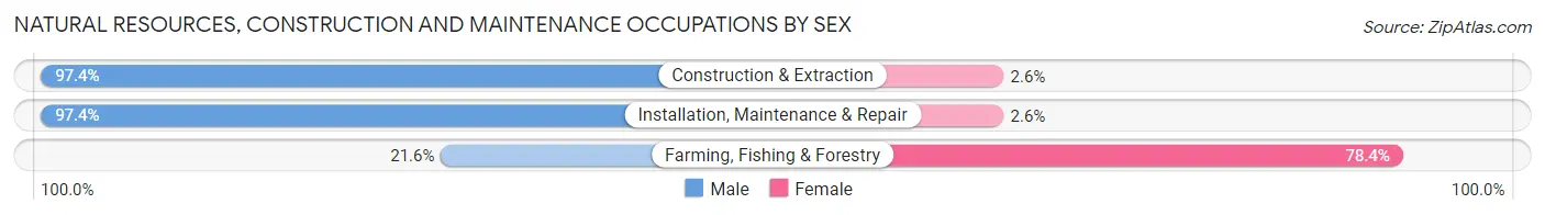 Natural Resources, Construction and Maintenance Occupations by Sex in Zip Code 23005