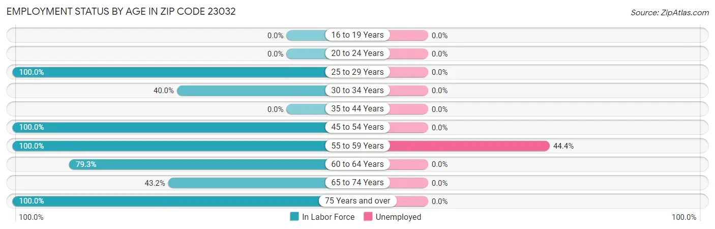 Employment Status by Age in Zip Code 23032