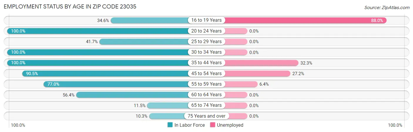Employment Status by Age in Zip Code 23035
