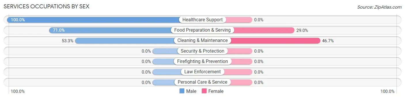 Services Occupations by Sex in Zip Code 23038