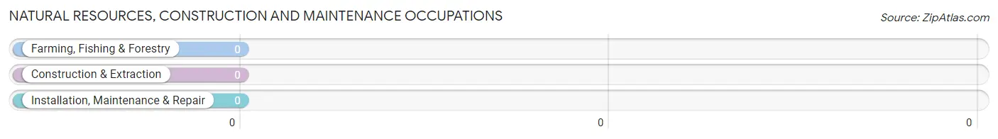 Natural Resources, Construction and Maintenance Occupations in Zip Code 23050