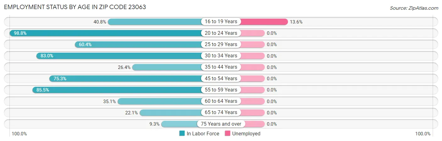 Employment Status by Age in Zip Code 23063