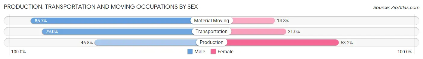 Production, Transportation and Moving Occupations by Sex in Zip Code 23063