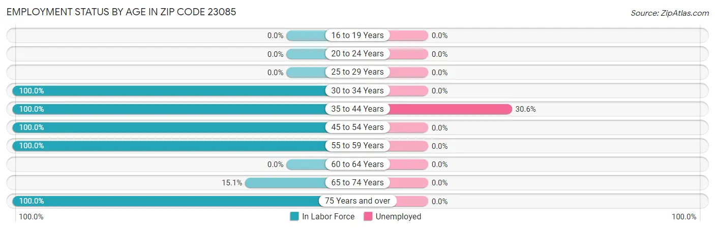 Employment Status by Age in Zip Code 23085