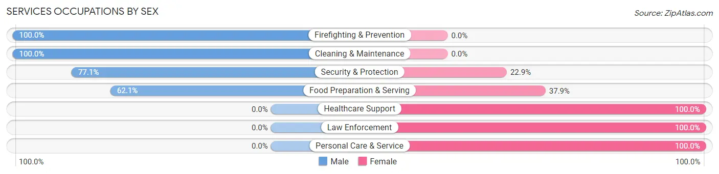 Services Occupations by Sex in Zip Code 23102