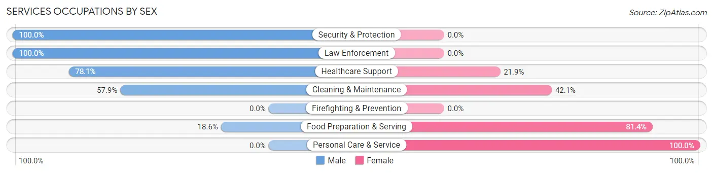 Services Occupations by Sex in Zip Code 23103