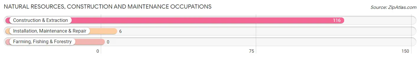 Natural Resources, Construction and Maintenance Occupations in Zip Code 23110