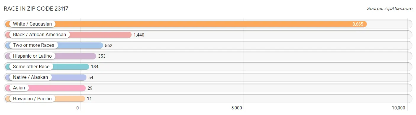 Race in Zip Code 23117