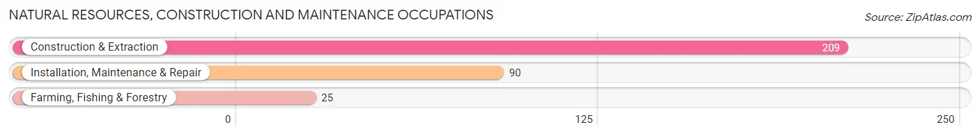 Natural Resources, Construction and Maintenance Occupations in Zip Code 23124