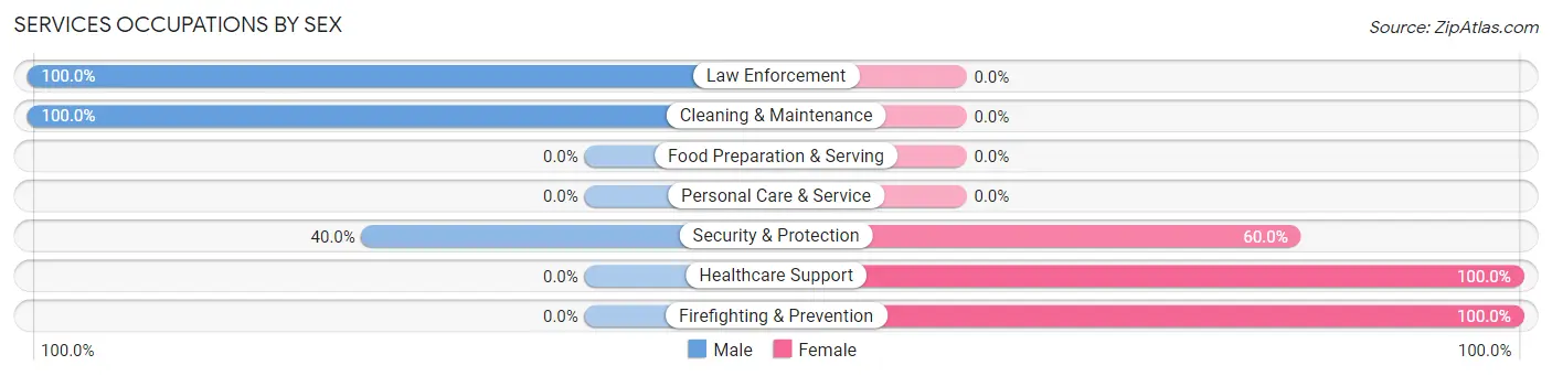 Services Occupations by Sex in Zip Code 23138
